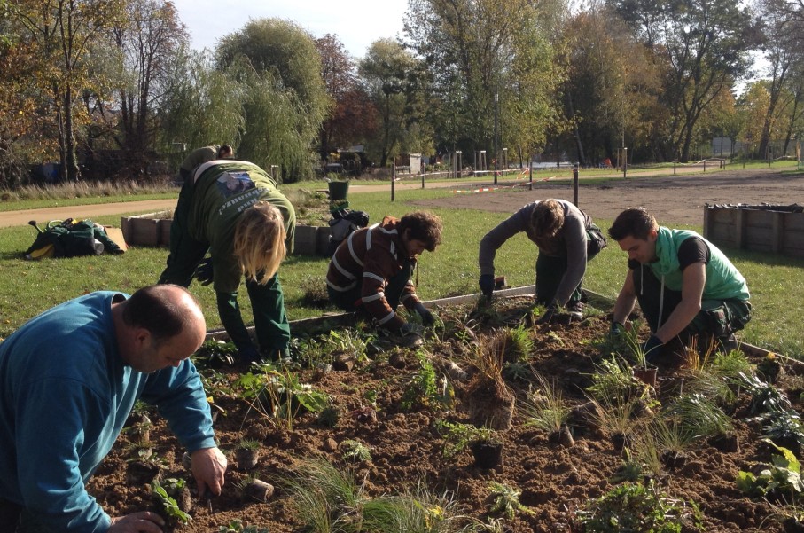 wildwuchs Botanischer Garten Mainz