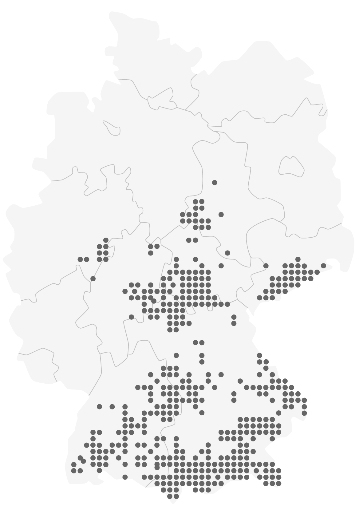 Weichhaariger Pippau