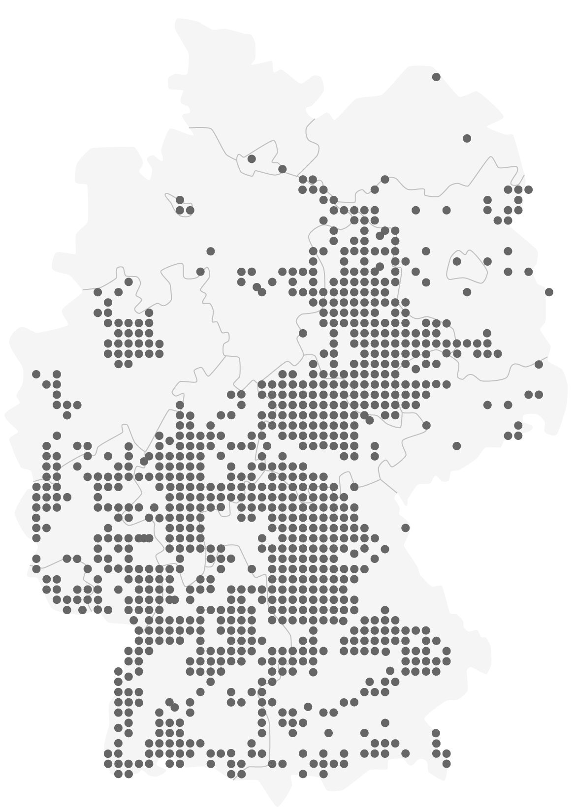 Wiesen-Silau